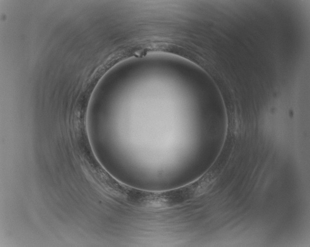 X0000052940263200507081151