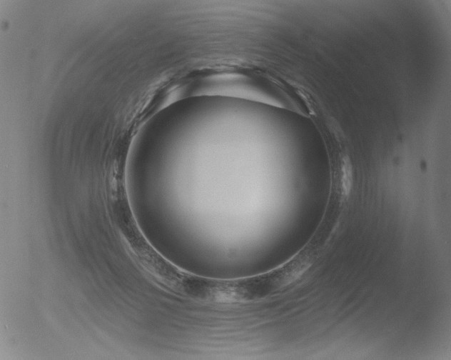 X0000052940264200507081151