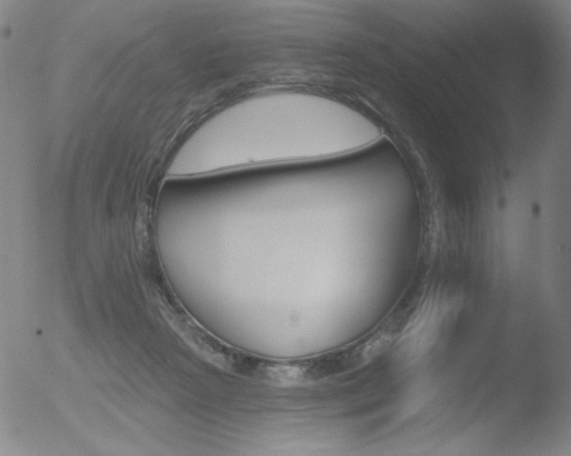 X0000052940265200507081151