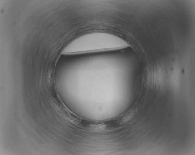 X0000052940266200507081151