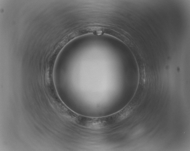 X0000052940267200507081151