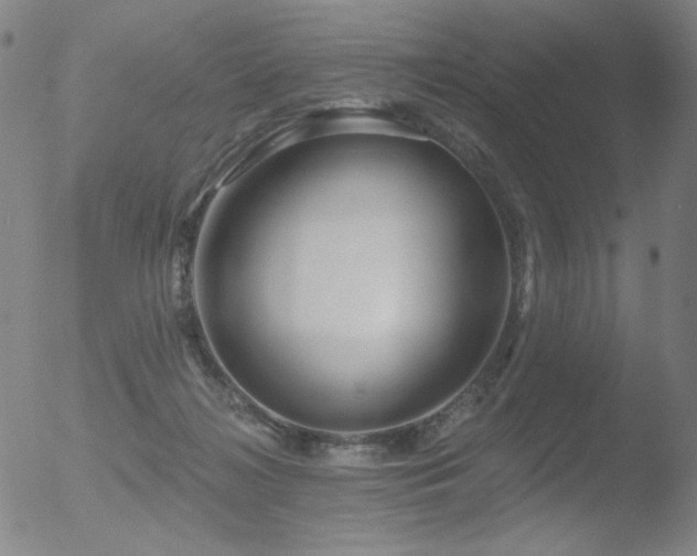 X0000052940268200507081152