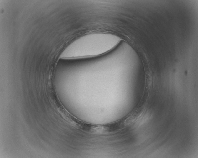 X0000052940269200507081152