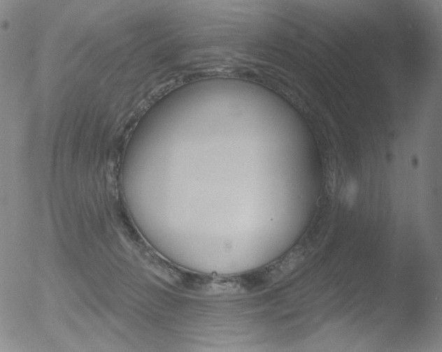 X0000052940270200507081152