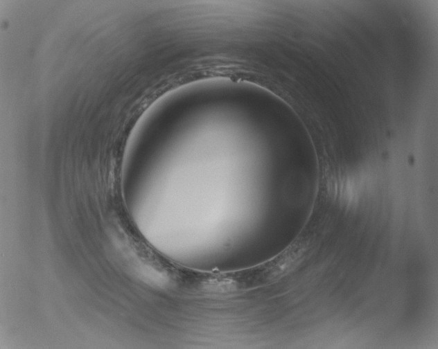 X0000052940271200507081152