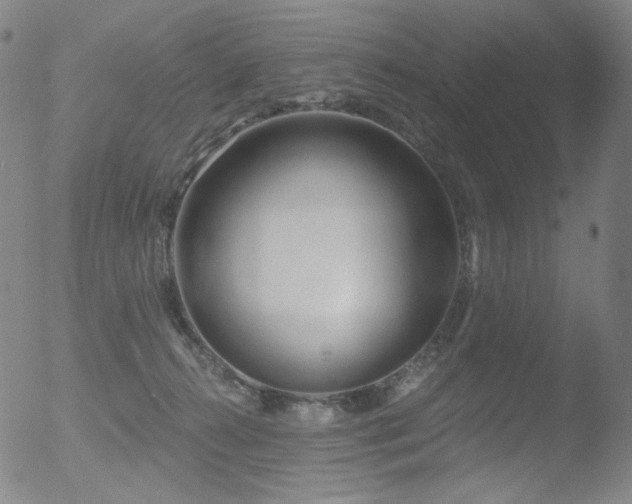 X0000052940272200507081152