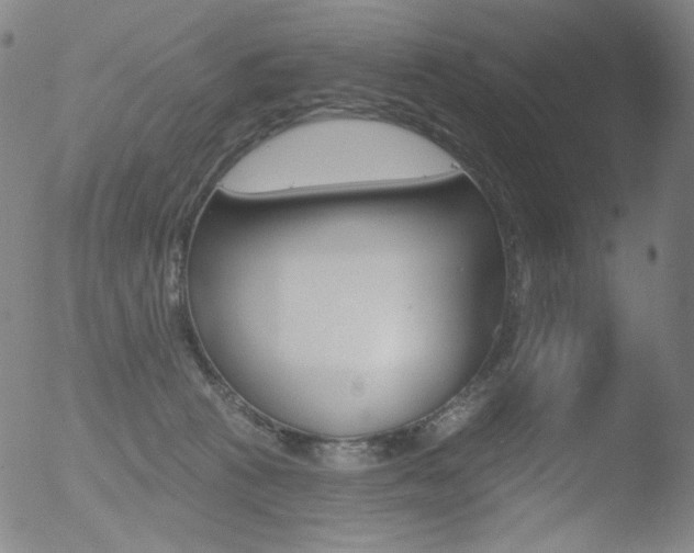 X0000052940273200507081152