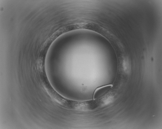 X0000052940274200507081152