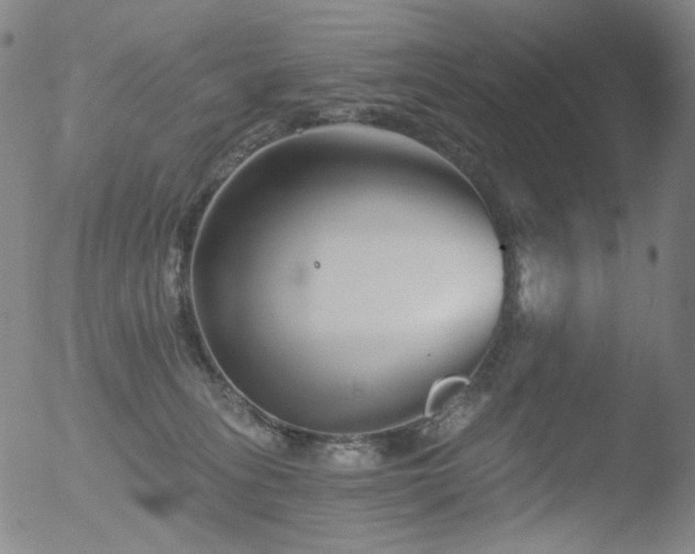 X0000052940275200507081152