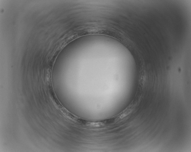 X0000052940277200507081152