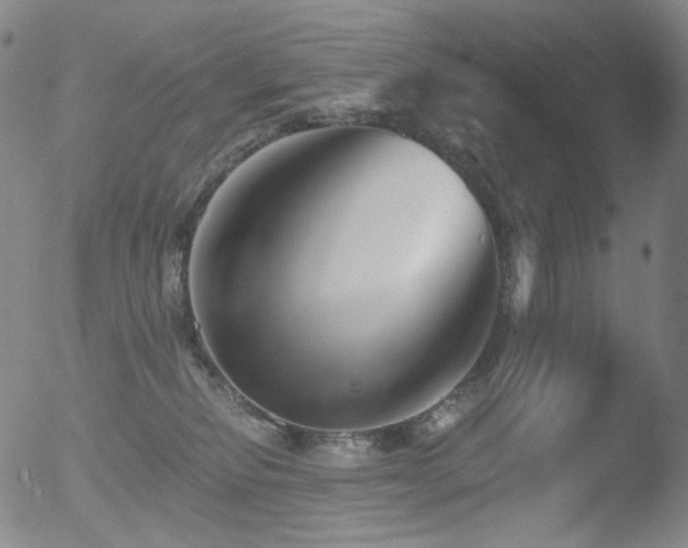 X0000052940278200507081152