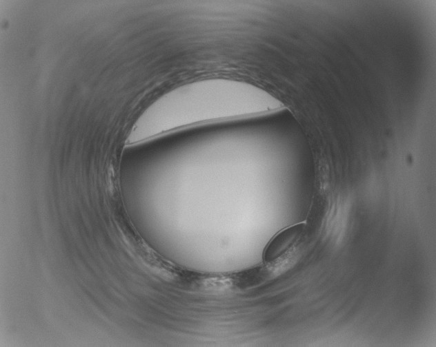 X0000052940279200507081152