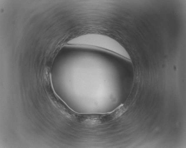 X0000052940280200507081152