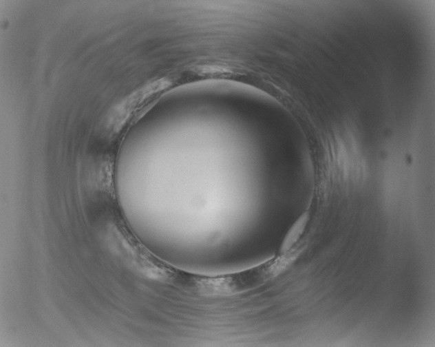 X0000052940281200507081152