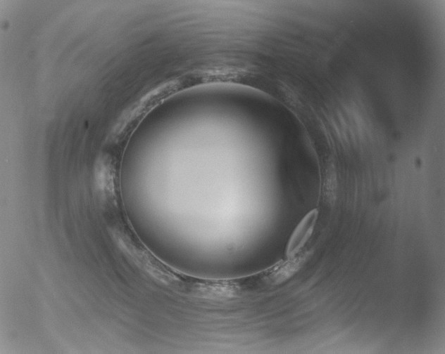 X0000052940282200507081152