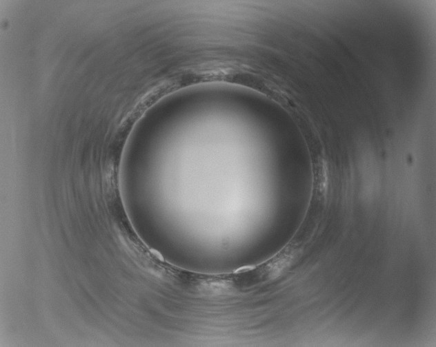 X0000052940283200507081152