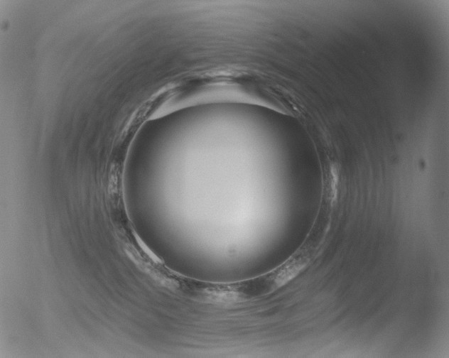 X0000052940284200507081152