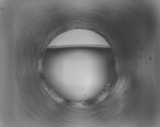 X0000052940285200507081152