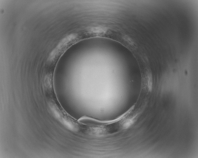 X0000052940286200507081152