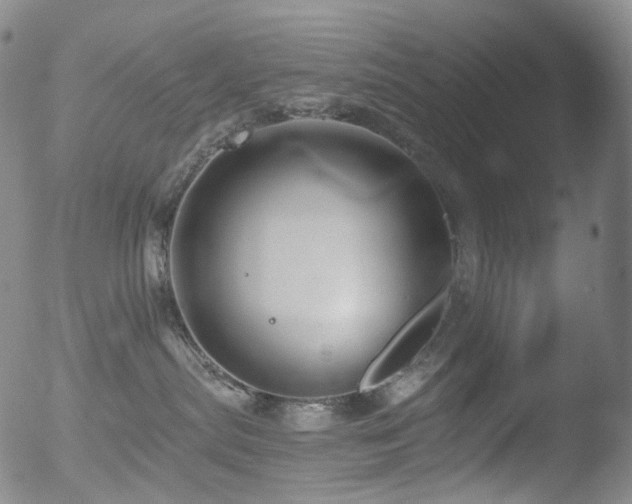 X0000052940287200507081152