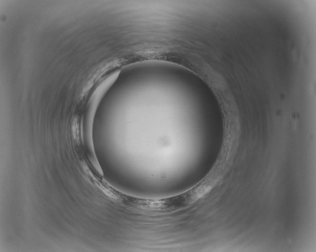 X0000052940288200507081152