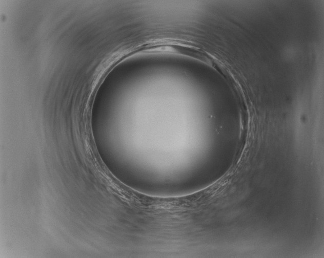 X0000052940289200507081151