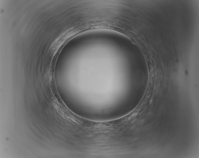 X0000052940290200507081151