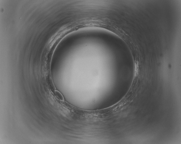 X0000052940291200507081151