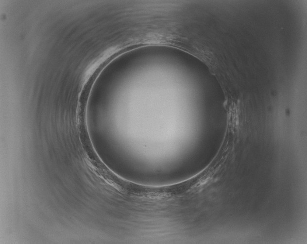 X0000052940292200507081151