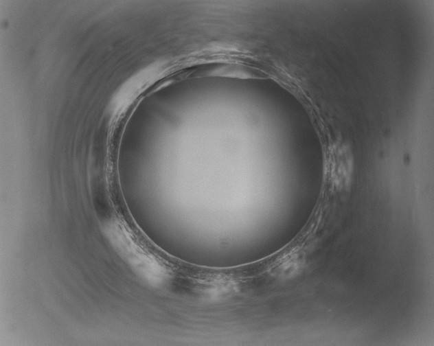 X0000052940293200507081151