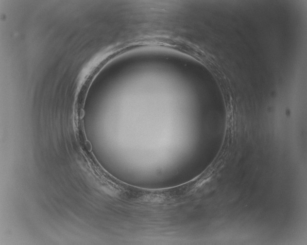 X0000052940294200507081151