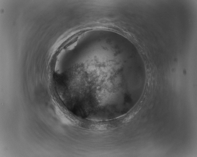 X0000052940295200507081151