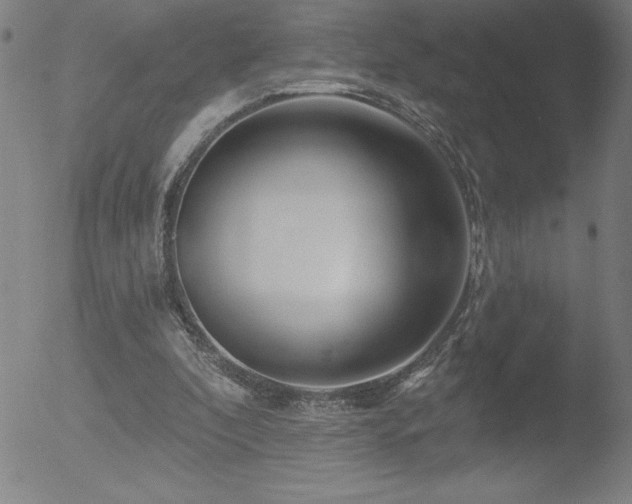 X0000052940296200507081151