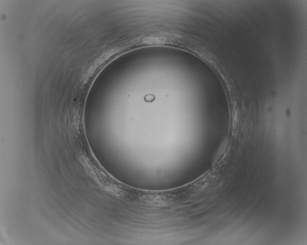 X0000052940297200507081151