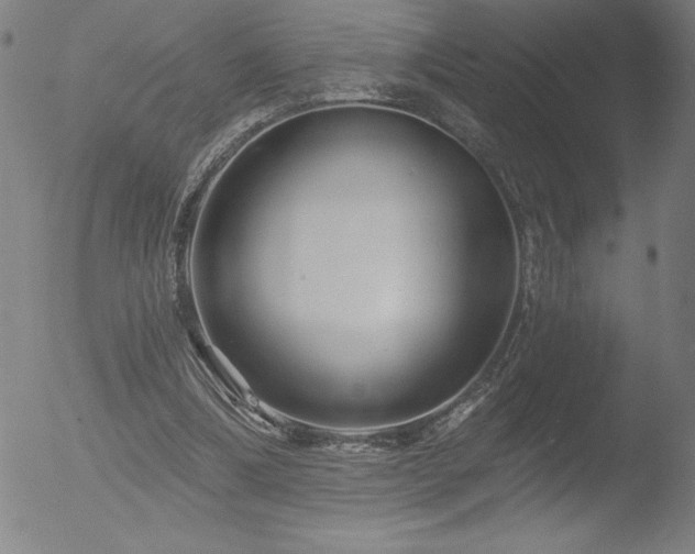 X0000052940298200507081151