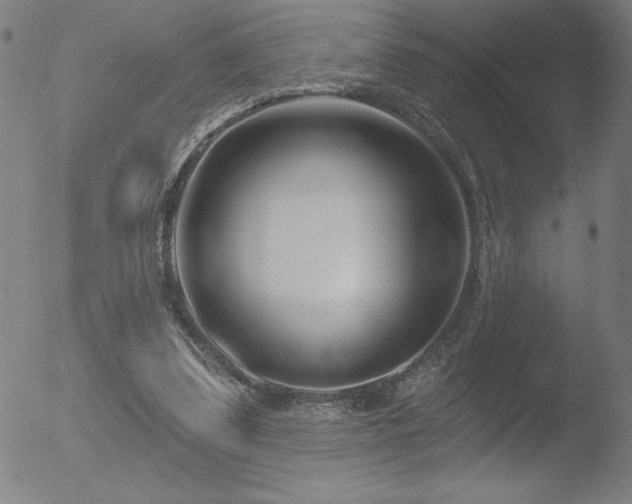 X0000052940299200507081151