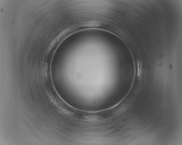 X0000052940300200507081151