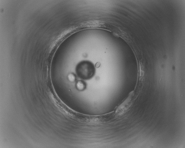 X0000052940301200507081151