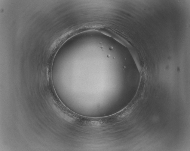 X0000052940302200507081151