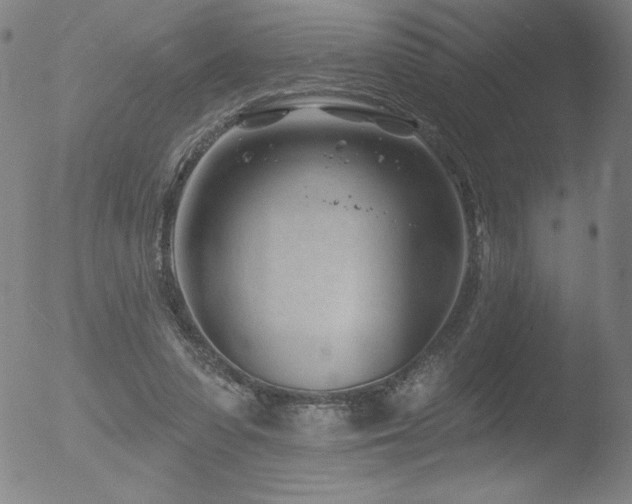 X0000052940303200507081151