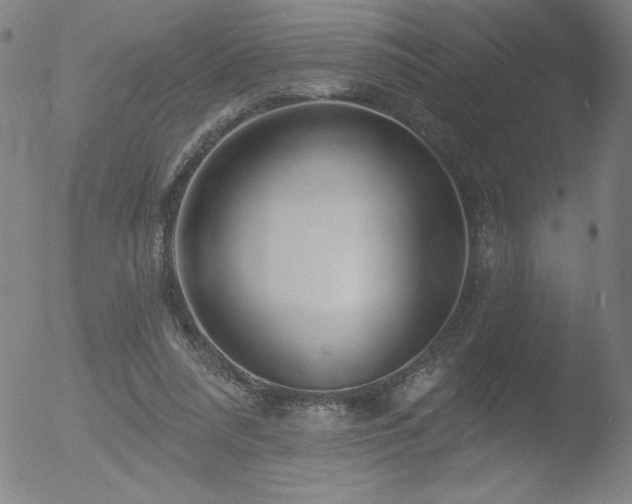 X0000052940304200507081151