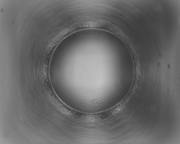 X0000052940305200507081151