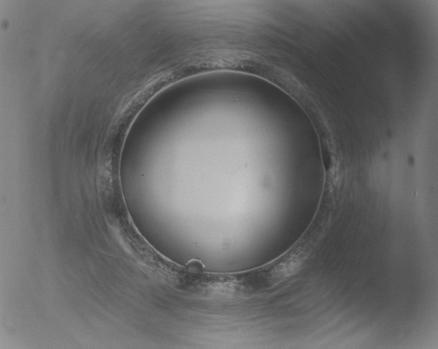 X0000052940306200507081151