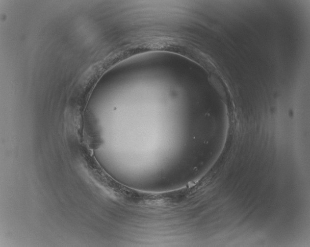 X0000052940307200507081151