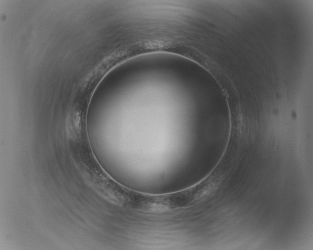 X0000052940308200507081151