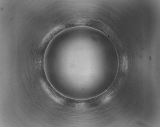 X0000052940309200507081151