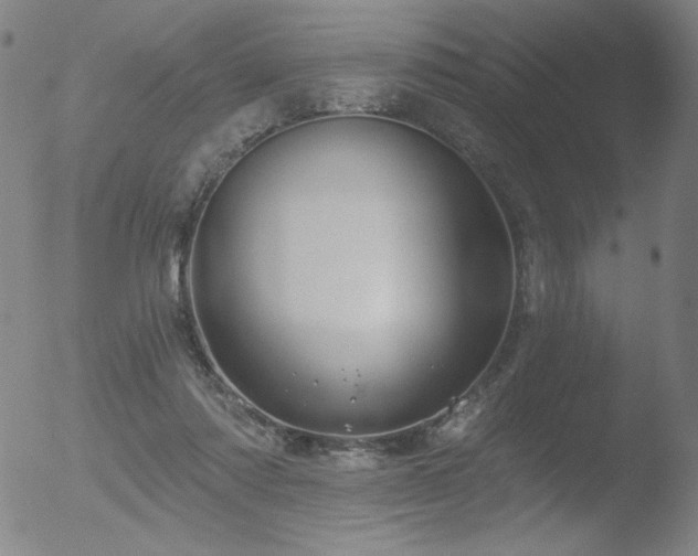 X0000052940310200507081151