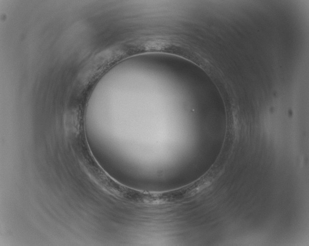 X0000052940311200507081151