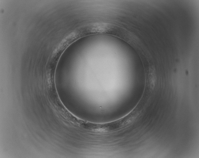 X0000052940312200507081151