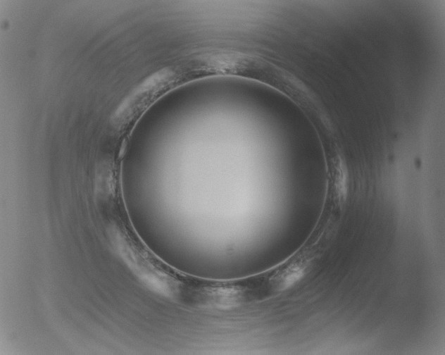 X0000052940313200507081151